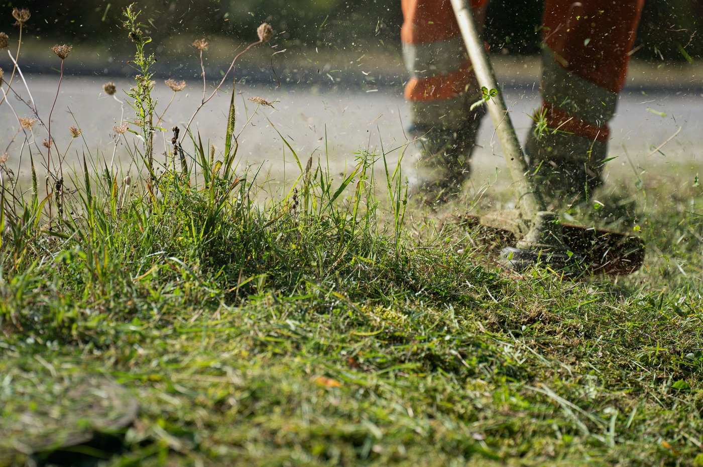 Brush cutters and grass trimmers