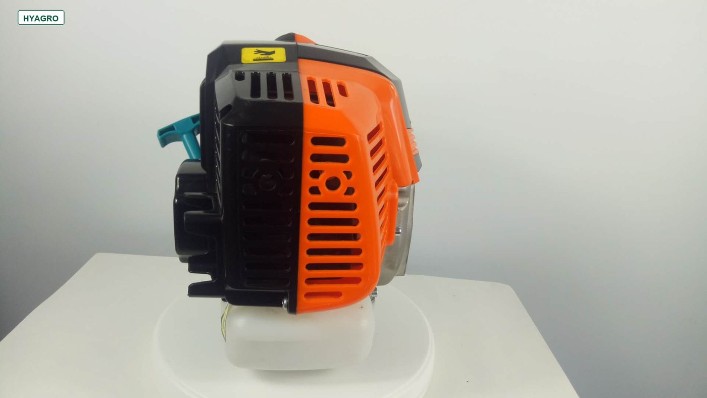 Small Gasoline Engines product image 4