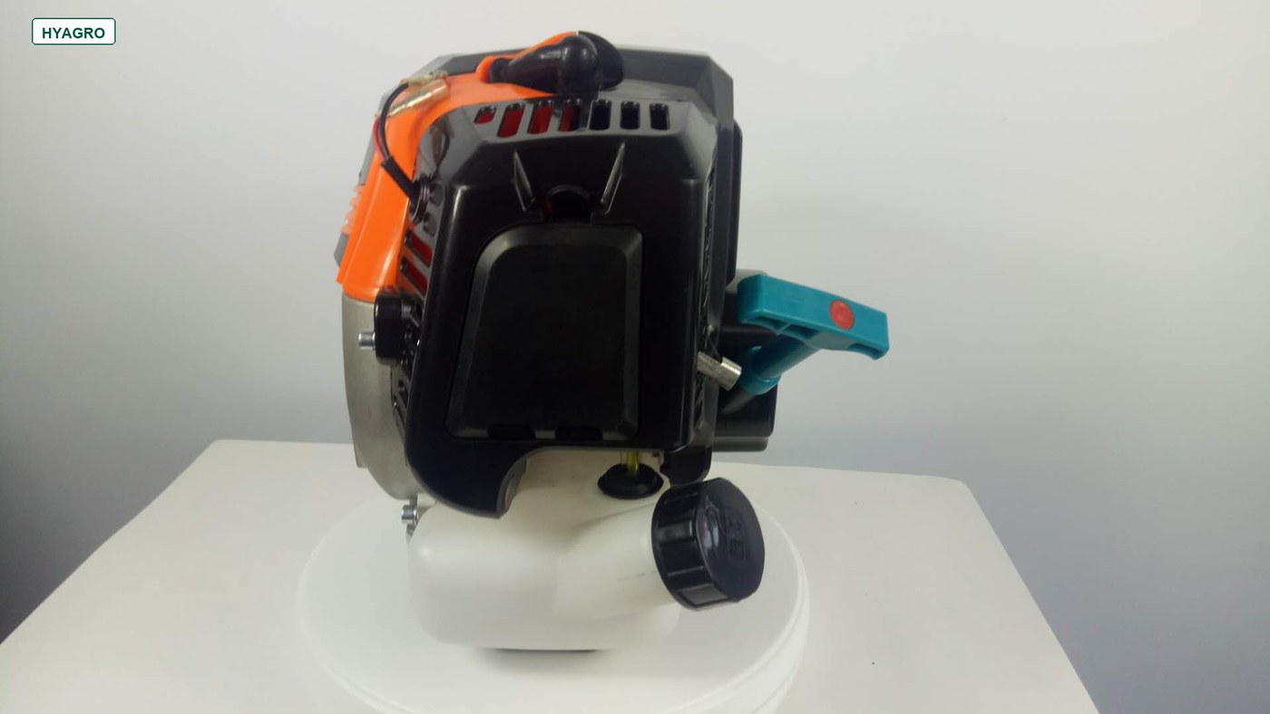 Small Gasoline Engines product image 5