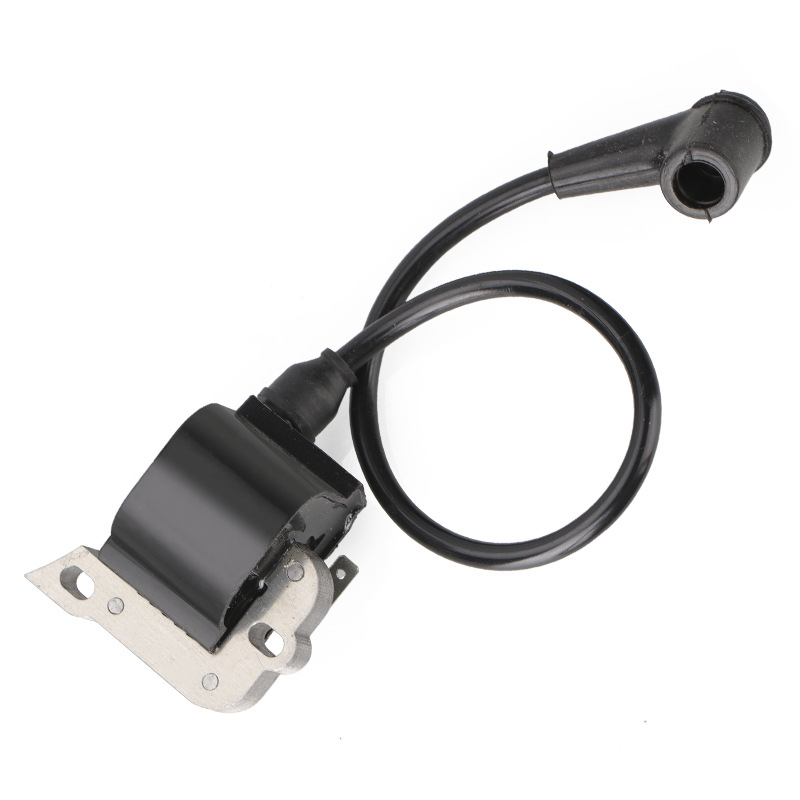 Ignition coil magneto assembly side view